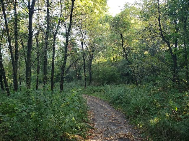 Lac qui Parle County Park - Image 1