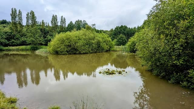 Kingfisher Lodge - Image 1