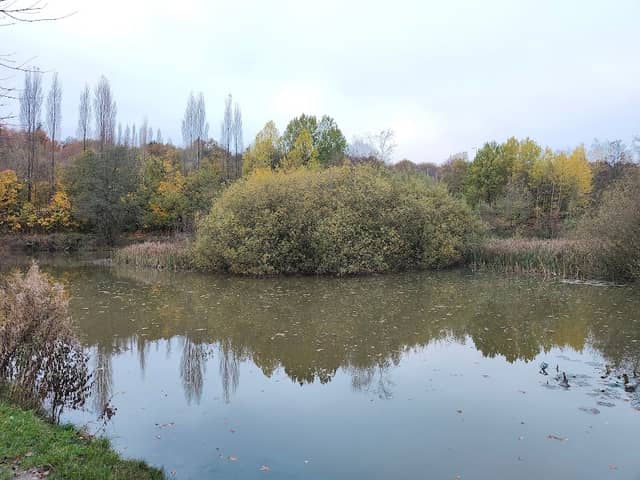 Kingfisher Lodge - Image 2