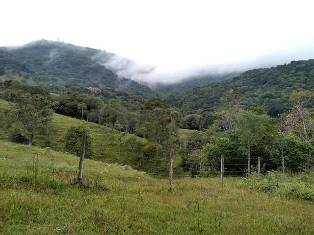 Serra de São Luiz do Purunã - Image 1