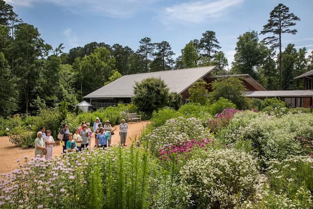 North Carolina Botanical Garden - Image 3