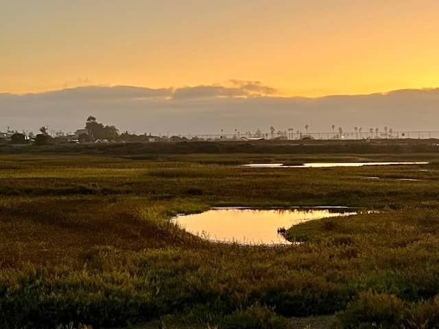 Flamingo Trail - Image 1