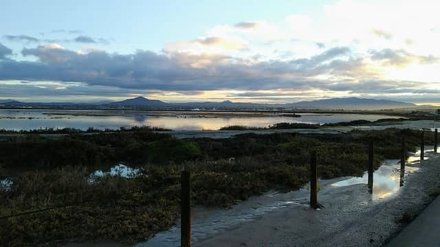 Flamingo Trail - Image 2