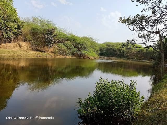 Taj Nature Walk - Image 3