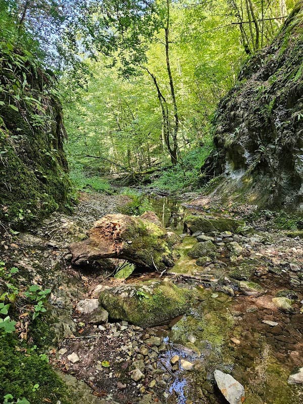 Sighistel Wild Camping Area - Image 2