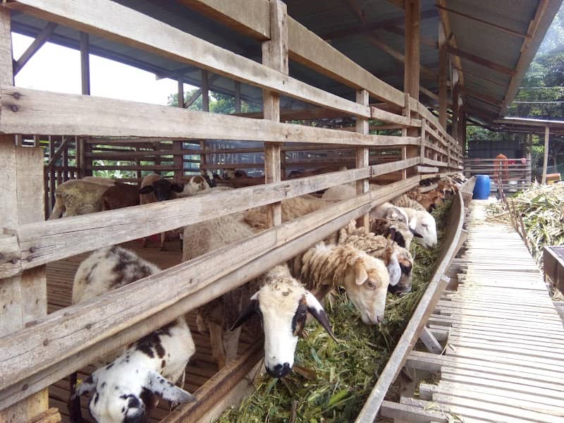 D' Tanjung Agrofarn - Image 1
