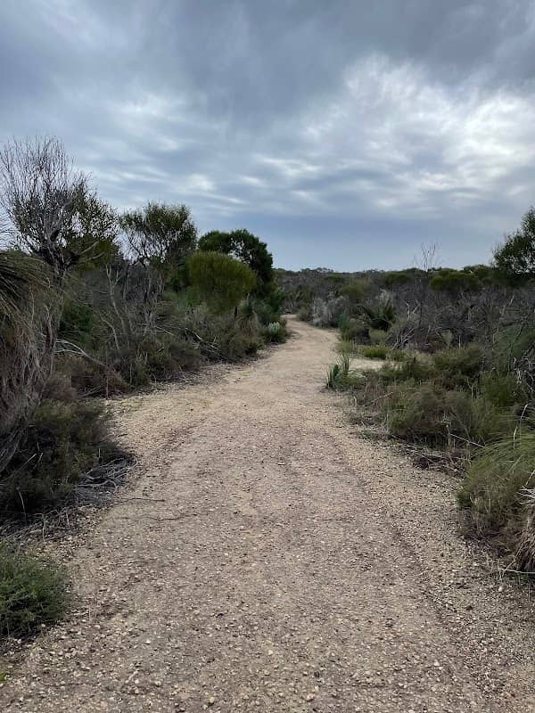 Catalina Nature Reserve (BCA) - Image 2