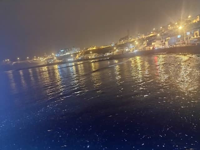 Muelle de Pescadores Playa Sur - Image 1