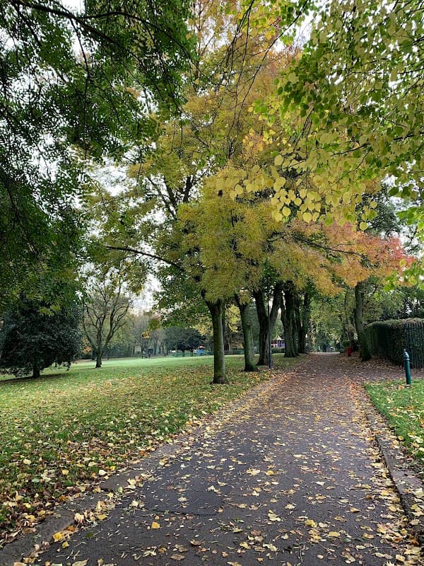 Mesnes Park - Image 1