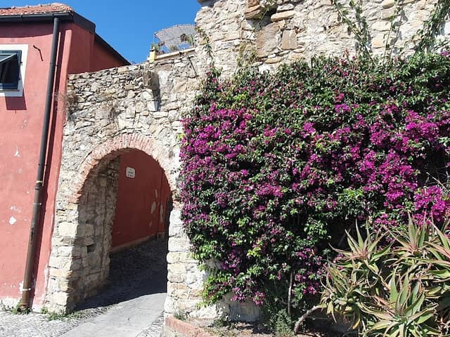 Porta - Image 2