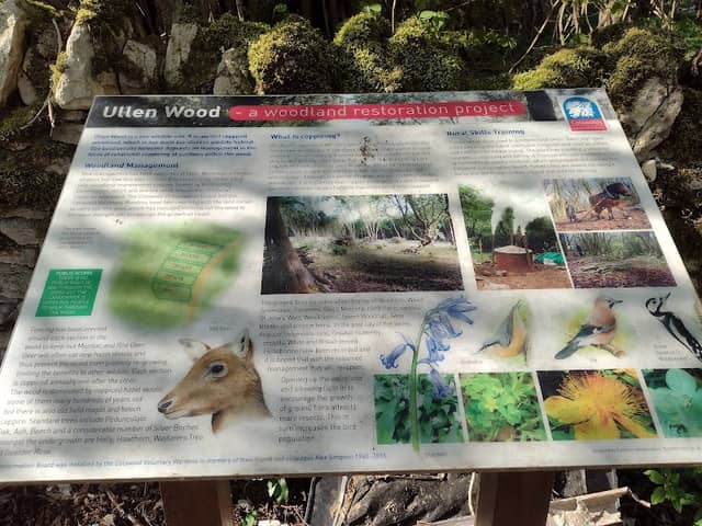Ullenwood Woodland Restoration - Image 2