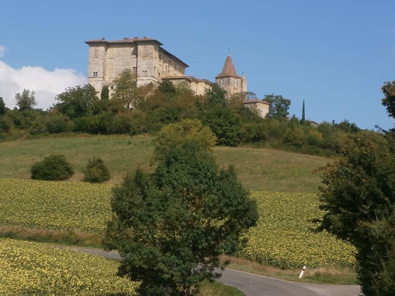 Château De Lavardens (CICAC-Lavardens Association) - Image 2