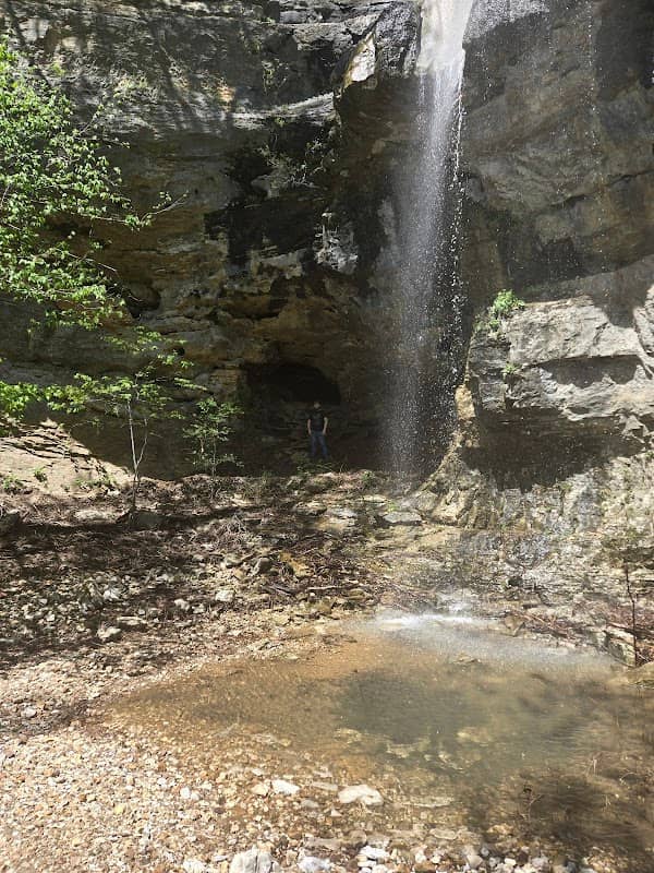 Cave at Roark Bluff - Image 2