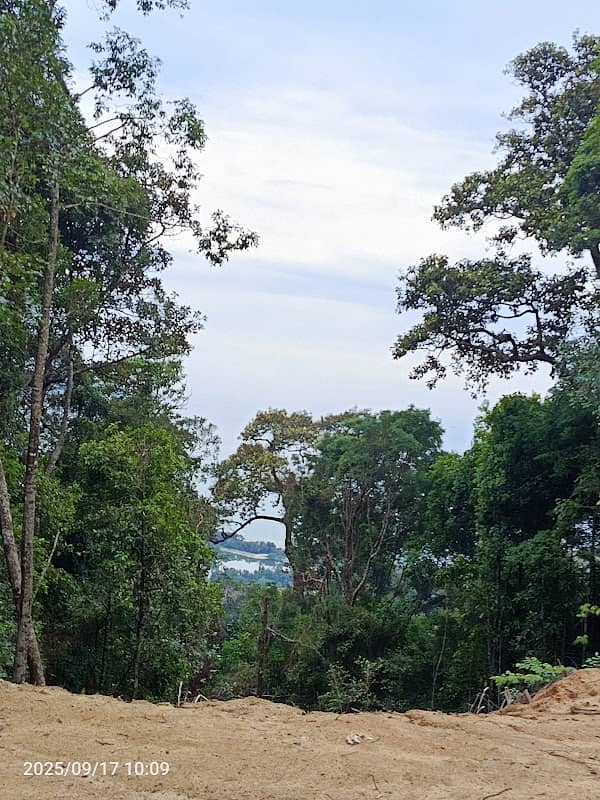 Bukit Pelindung (Tapak Bermula) Jalan Tar - Image 2