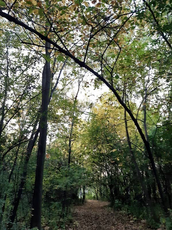 Queen Park - Image 2