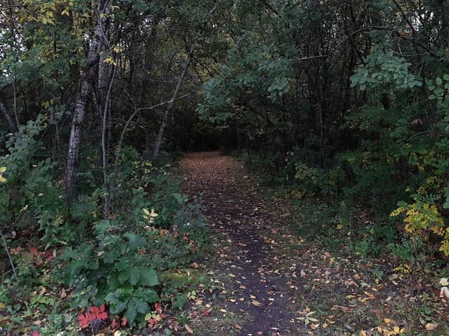 Queen Park - Image 1