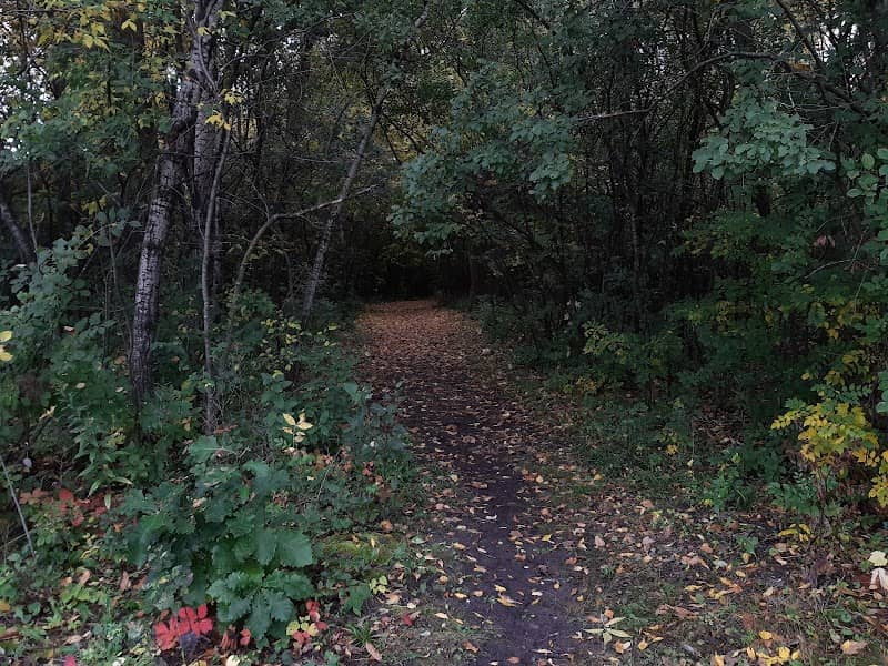 Queen Park - Image 1
