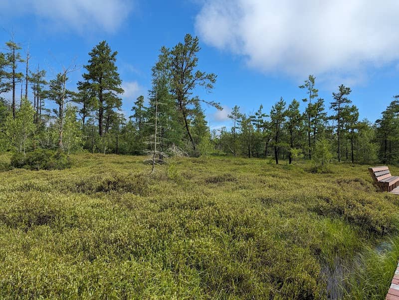 Saco Heath Preserve - Image 1