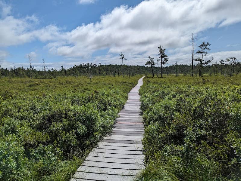 Saco Heath Preserve - Image 2