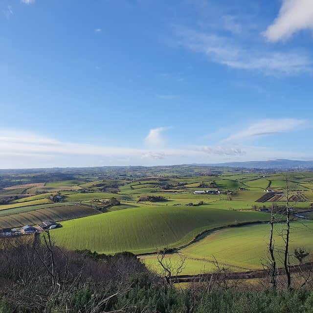 Scrabo Country Park - Image 2