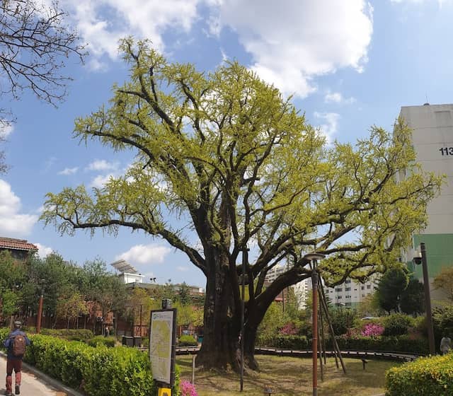 Wondangsaem Park - Image 1