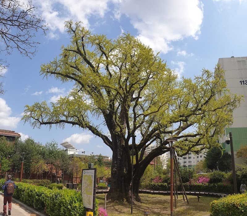Wondangsaem Park - Image 1