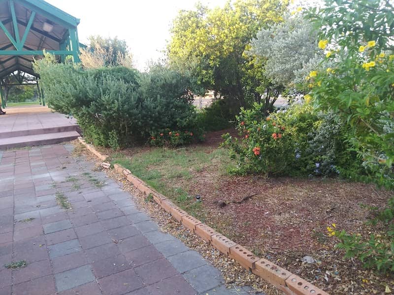 Urban Xeriscape Garden - Image 1