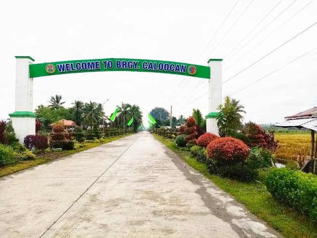 NIA road Purok Silangan,Barangay Caloocan - Image 1