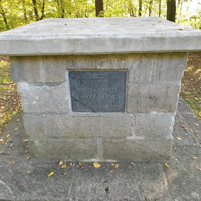 Buche an der Batterie (Naturdenkmal) - Image 1