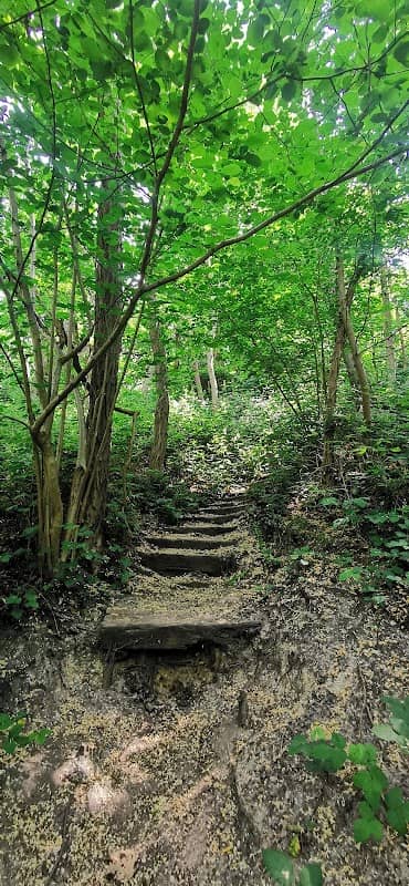 Röttgenhöhe - Image 2