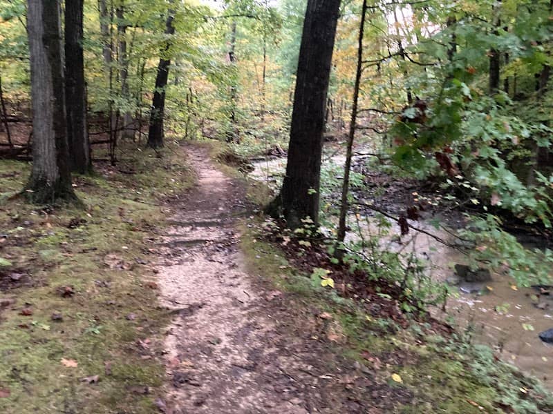 Finwood Forest Park - Image 2