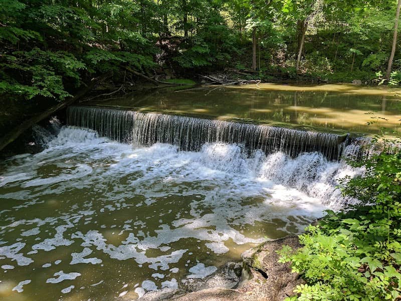Finwood Forest Park - Image 1