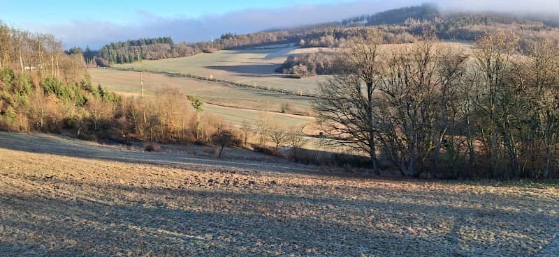 Reichenbach Nordhang - Image 1