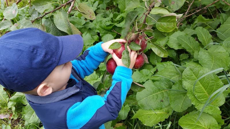 Rex Moseley Fruit & Veg Farm - Image 1