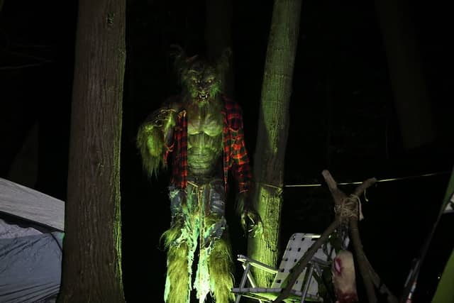 Gorgas street horror - Image 2