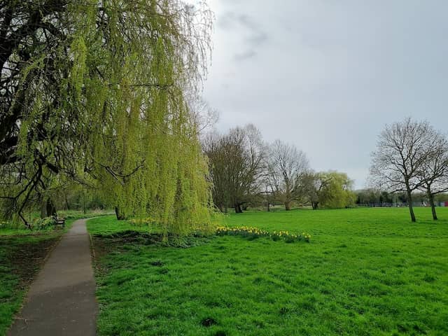 5th Avenue Park - Image 1