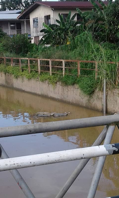 Taman Green - Image 1