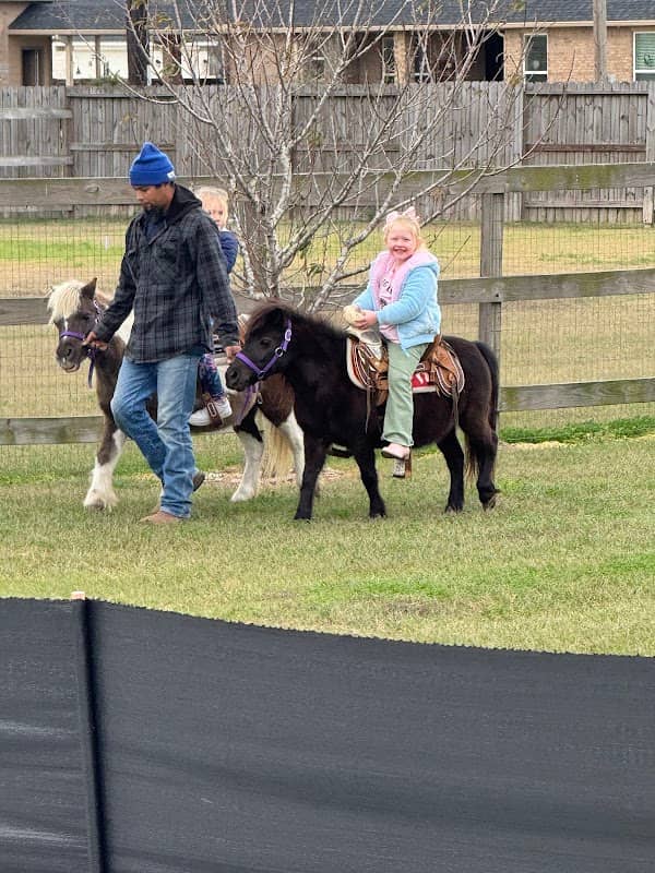 Rumba Petting Farm & Pony Rides - Image 2