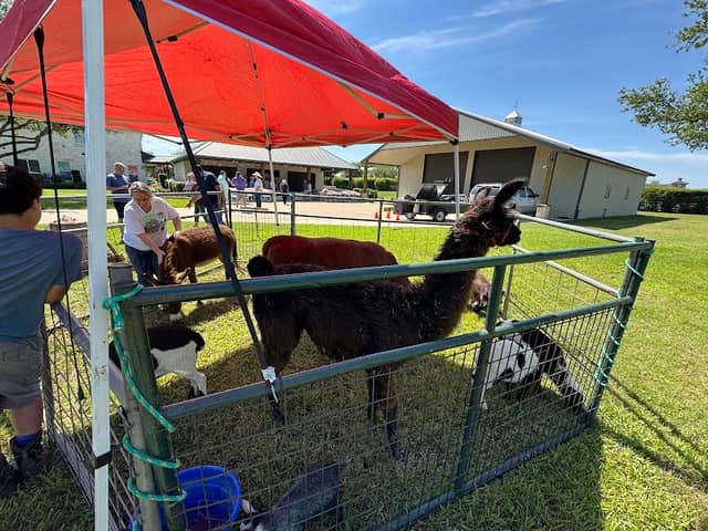Rumba Petting Farm & Pony Rides - Image 1