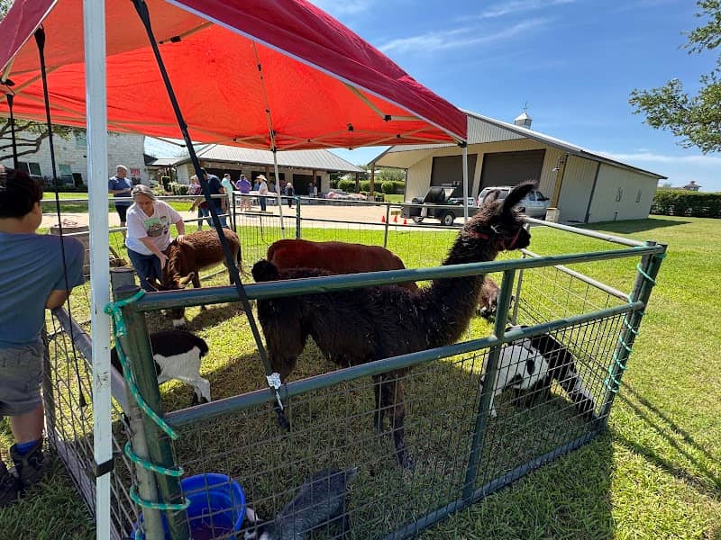 Rumba Petting Farm & Pony Rides - Image 1
