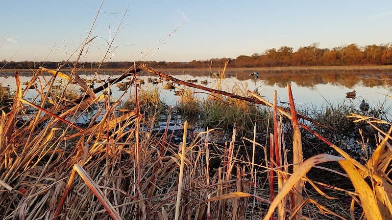 Overflow National Wildlife Refuge - Image 2
