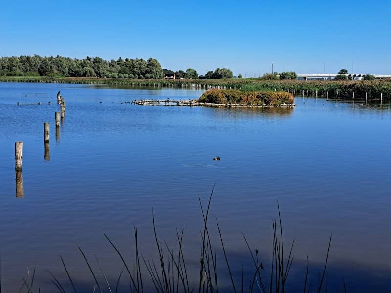 De Vogelknip - Image 1