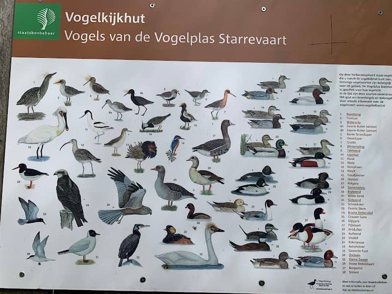 De Vogelknip - Image 2