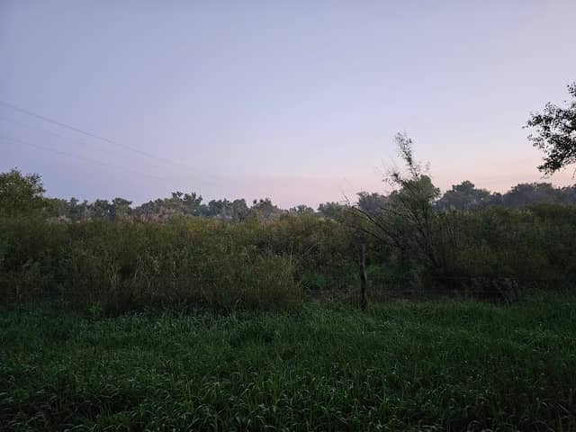 Cottonwood State Wildlife Area - Image 1
