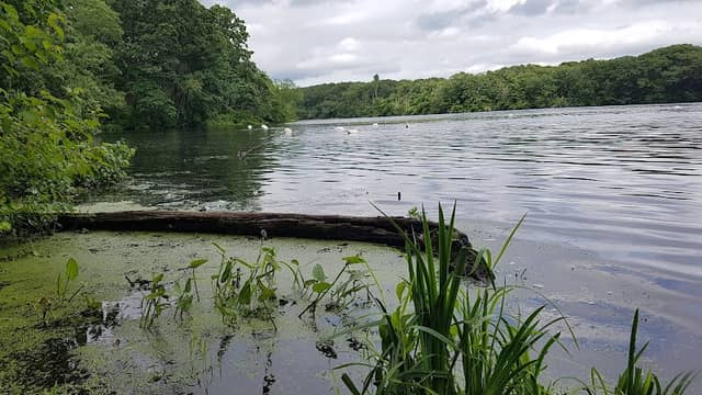 Ten Mile River Greenway - Image 1