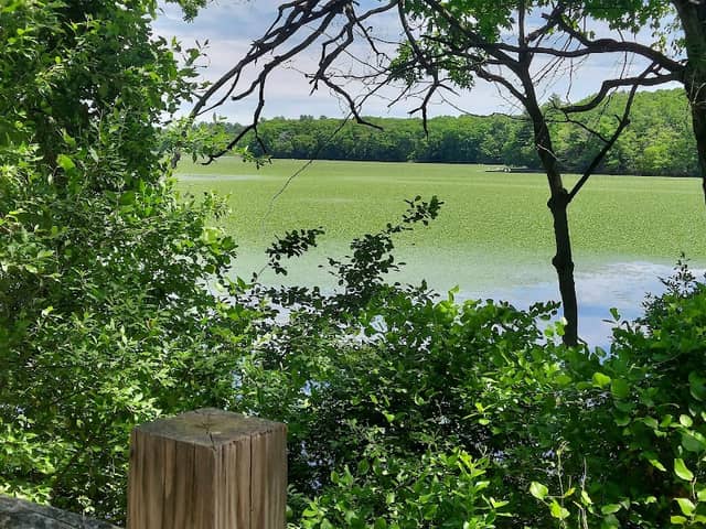Ten Mile River Greenway - Image 2