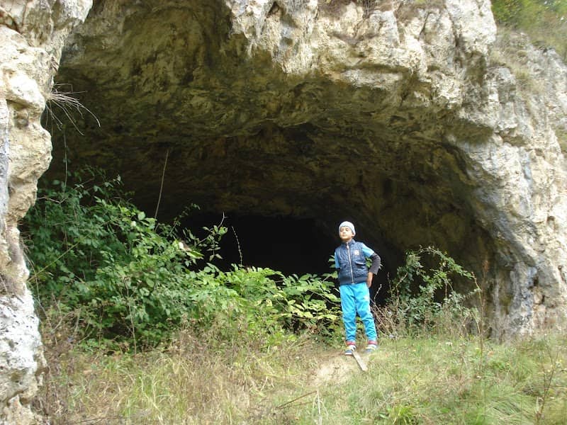 Gaura Sbârcioarei - Image 1