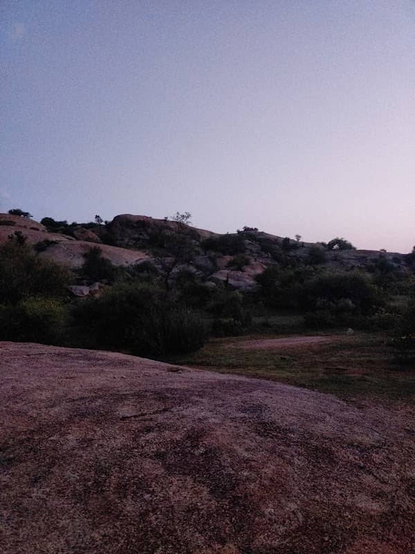 Jawai Leopard area - Image 1