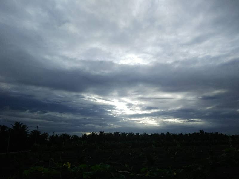 สวนบ้านสร้าง(สวนส้ม) - Image 1