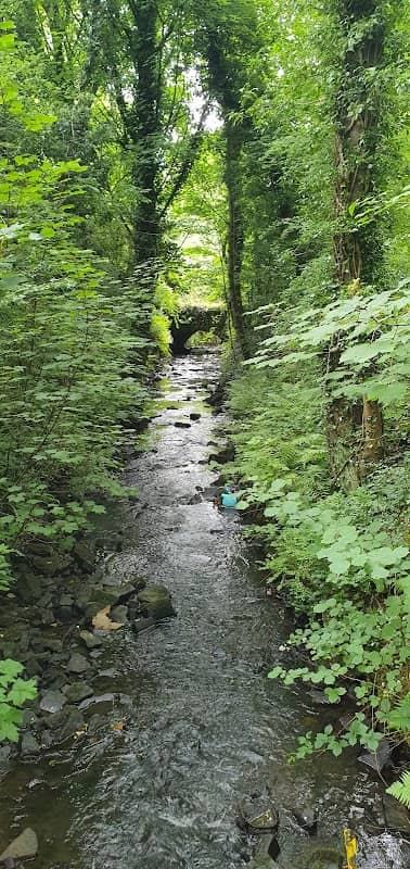 Mill Lane Nature Reserve - Image 1